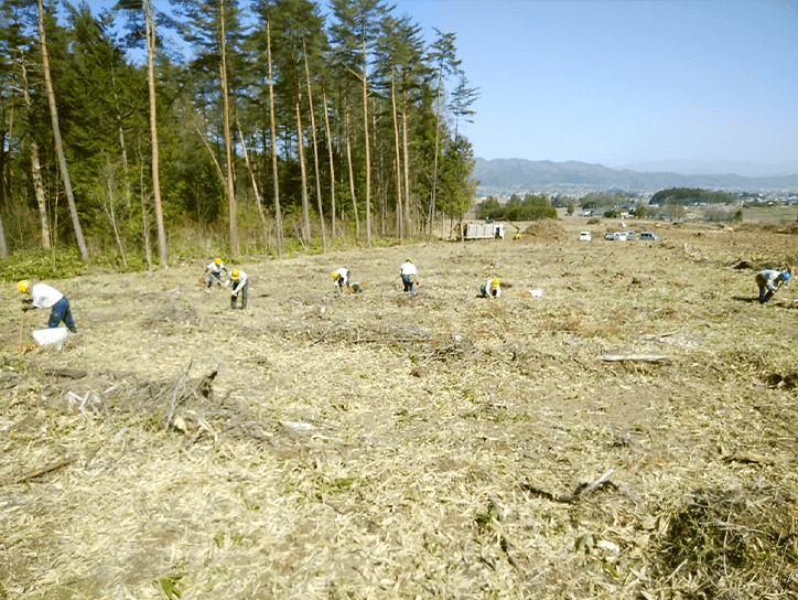 実際の地拵え作業の様子