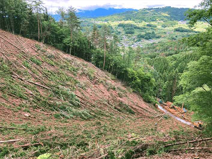 実際の地拵え作業の様子