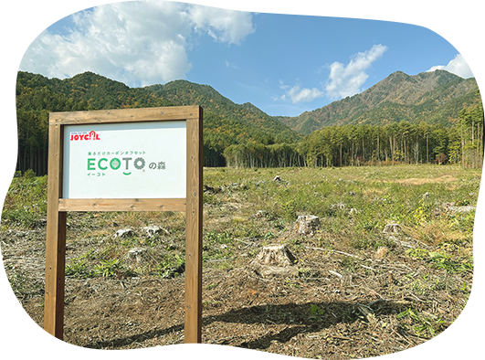 ECOTO（イーコト）の森 | １年目の森林整備活動