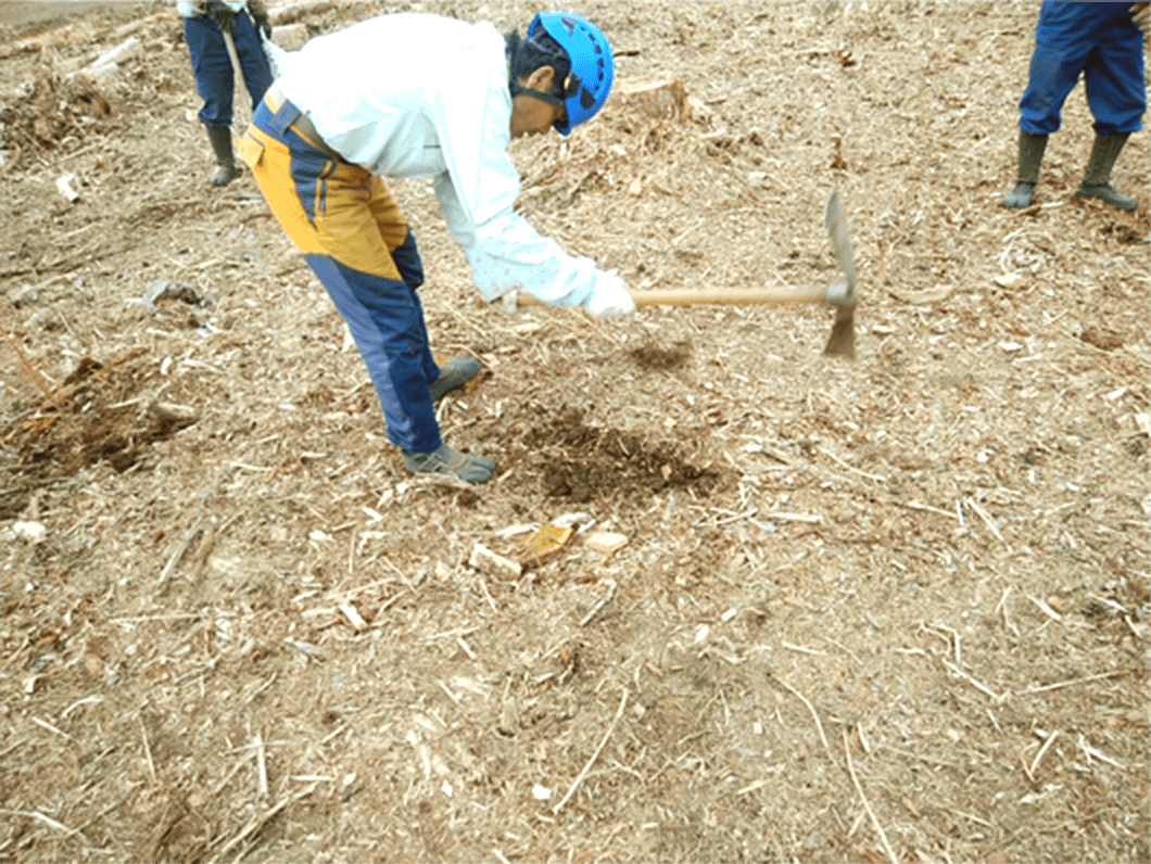 実際の植栽作業の様子